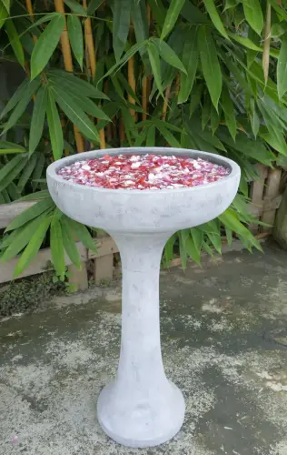 Product image of the product “Set Trieste – Bird Bath | 82 cm Height, Ø Bowl 50 cm | Casted Stone ”
